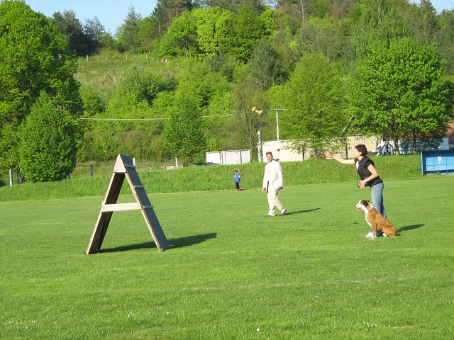 www.atibox.net * www.euroboxer.eu * www.boxergenealogia.eu
